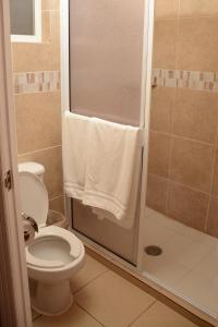 a bathroom with a white toilet and a shower at DURAZNO INN in Nuevo Casas Grandes