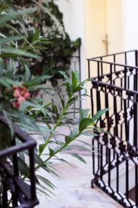 A garden outside AÇELYA OTEL