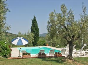 a swimming pool with chairs and an umbrella at LA MAESTA' in Monte San Savino