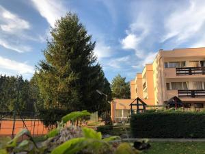 a large pine tree in front of a building at InterSport Hotel in Stupava