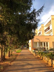un árbol colgando sobre una calle al lado de un edificio en InterSport Hotel, en Stupava