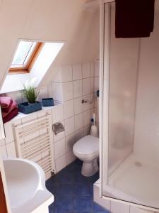 een badkamer met een toilet, een douche en een wastafel bij Villa Friesenkät in Wangerland
