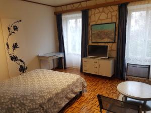 um quarto com uma cama, uma televisão e uma mesa em Hotel de la Gare, Vendlincourt em Vendlincourt
