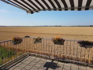 a fence with potted plants on it next to a field at Holidayhouse Akkerrand Kamperland in Kamperland