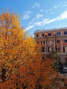a tree with yellow leaves in front of a building at Affittacamere Boncompagni Suite in Rome