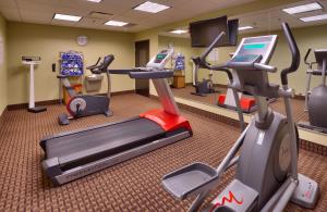 un gimnasio con máquinas de ejercicio cardiovascular y cinta de correr en Holiday Inn Express & Suites Overland Park, an IHG Hotel, en Overland Park