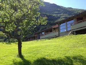a house on a hill with a tree in the grass at Fjorden Campinghytter in Geiranger