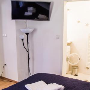 a bedroom with a bed and a television on the wall at Apartment Baba Yaga 12 in Rogaška Slatina