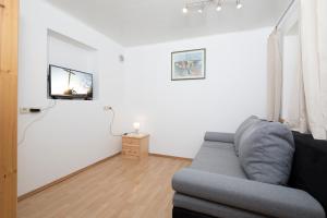 TV a/nebo společenská místnost v ubytování Ferienwohnung Lechner