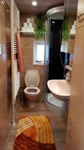 La salle de bains est pourvue de toilettes et d'un lavabo. dans l'établissement Knus chalet midden in de natuur en de rust., à Wageningue