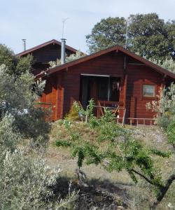 Vonkajšia záhrada v ubytovaní Casa La Colina Mandarina I