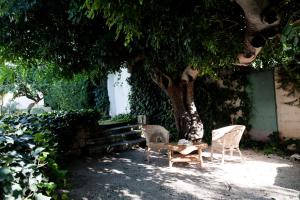 Zahrada ubytování Villa Aurea