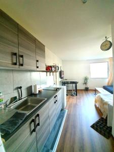 uma cozinha com um lavatório e uma bancada em Logement entier 30m² - 800m du Futuroscope em Chasseneuil-du-Poitou