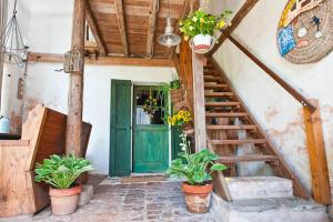 una habitación con una puerta verde y algunas macetas en Regina Sconta en Villa Estense
