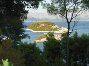 Príroda v okolí apartmánu