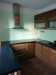 Kuchyň nebo kuchyňský kout v ubytování Apartman Hliny
