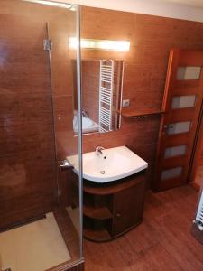 Koupelna v ubytování Apartman Hliny