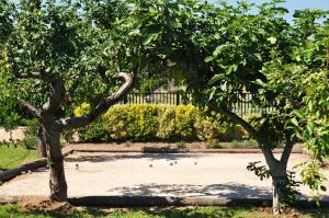 Galeriebild der Unterkunft Résidence Casa Favalella in Porto Pollo