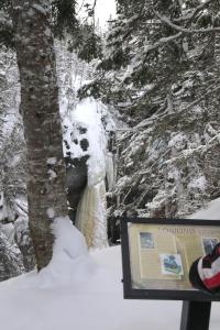 Galería fotográfica de Deer Lake Horizon Hotel en Deer Lake