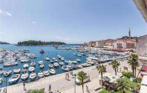 Un puerto lleno de muchos barcos en el agua. en Luxury apartment Lella, en Rovinj