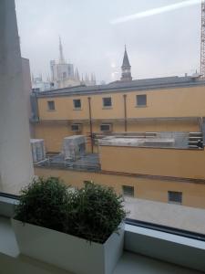 Blick auf einen Balkon mit einer Pflanze im Fenster in der Unterkunft Jewel apartment in Mailand