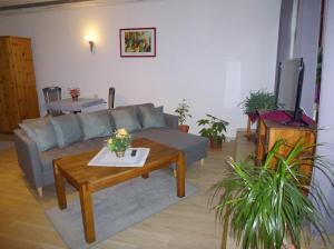 ein Wohnzimmer mit einem Sofa und einem Couchtisch in der Unterkunft Pension Bergmann-Welp in Freiberg