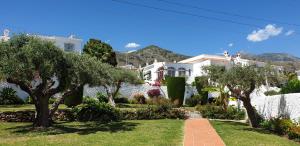 a row of white houses with trees in a yard at Nerja Villas-Capistrano in Nerja