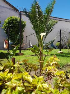 Fotografie z fotogalerie ubytování Hostal Juana de Arco v destinaci Quito