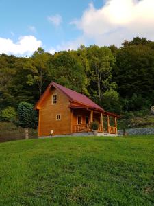 a log cabin on a grassy field with trees at Holiday Home Milica in Kolašin