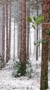 L'établissement les Arcs 1800 en hiver