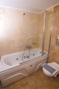 a bathroom with a shower and a tub with a toilet at Hotel Grand Nefeli in Vasiliki