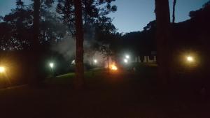 a group of trees and lights at night at Gran Camping Cabanas da Fazenda in Visconde De Maua