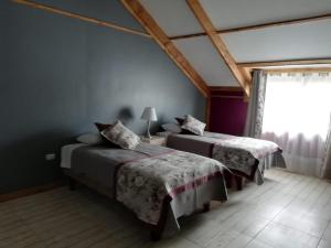 a bedroom with two beds and a window at Apart Hotel y Cabañas Valle Exploradores in Puerto Tranquilo