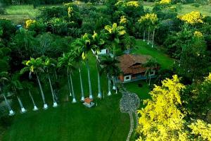 una vista aérea de una casa con palmeras en A Sua Casa de Campo na Chapada, en Alto Paraíso de Goiás