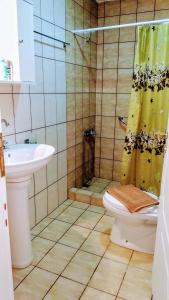 トリカラにあるTrikala Apartments 2のバスルーム(シャワー、トイレ、シンク付)