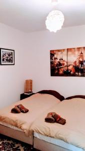 トリカラにあるTrikala Apartments 2のベッドルーム1室(ベッド2台、シャンデリア付)