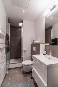米里貝爾的住宿－Cocoon Appart 1 Miribel，浴室配有卫生间、淋浴和盥洗盆。