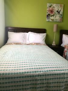 1 cama en un dormitorio con una pared verde en Estancia Buen Dia, en Ciudad Valles