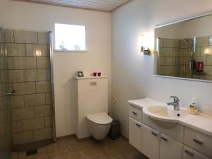 un bagno con un water, un lavandino e uno specchio di Light & spacious home a Tórshavn