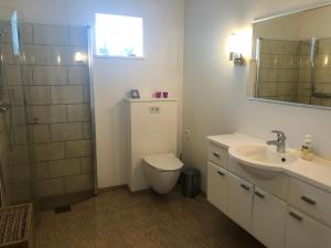 uma casa de banho com um WC, um lavatório e um chuveiro em Light & spacious home em Tórshavn