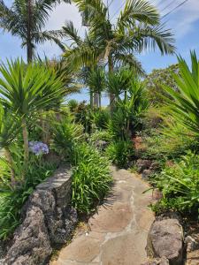 a garden with palm trees and a stone path at Ocean Inn Motel in Auckland