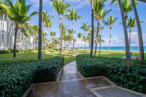 Imagen de la galería de Seawinds Penthouse Studio with Rooftop, en Cabarete