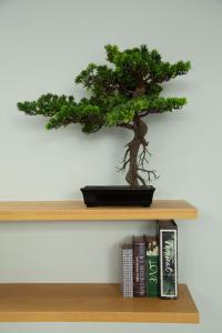a bonsai tree sitting on top of a shelf at Villa Kyoto in Layan Beach
