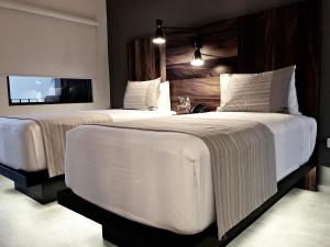 two beds in a hotel room with a tv at SIX TWO FOUR Urban Beach Hotel in San José del Cabo