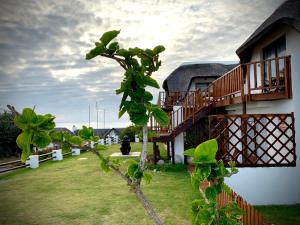 a tree in front of a house with a building at Cycads on Sea Guest House in St Francis Bay