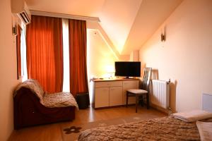TV a/nebo společenská místnost v ubytování Harmony Hotel