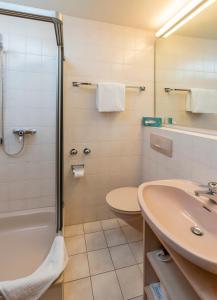 La salle de bains est pourvue d'une douche, de toilettes et d'un lavabo. dans l'établissement Klostergasthof Maria Eck, à Siegsdorf