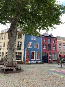 un albero e una panchina di fronte ad alcuni edifici di Het Rode Pakhuis a Doesburg