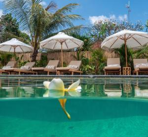 a swimming pool with chairs and umbrellas at The Inn Possible in Uluwatu