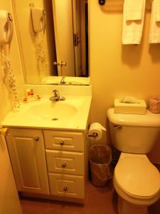 une salle de bain avec un lavabo, des toilettes et un miroir dans l'établissement Woodstock Inn and Suites, à Woodstock